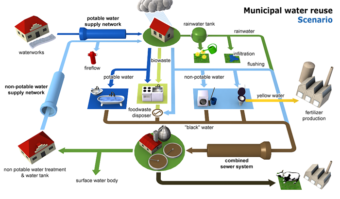 Германы сургалт